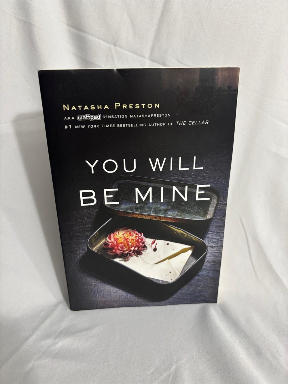 You Will Be Mine by Natasha Preston